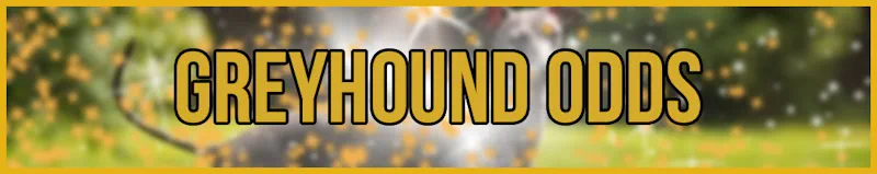 Greyhound Odds banner