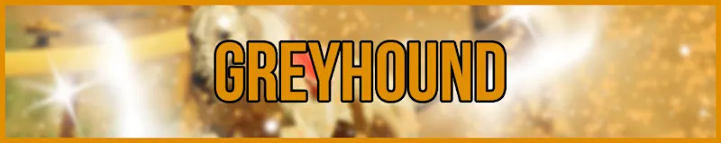 Greyhound banner
