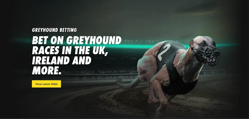 bet365 greyhound screenshot