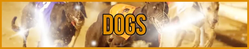 Dogs banner