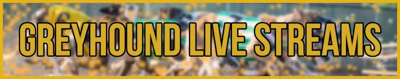 greyhound live streams banner