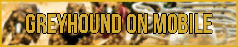 greyhound on mobile banner