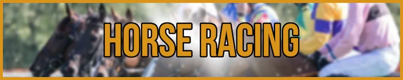 Horse Racing banner