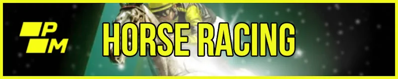 Horse Racing banner