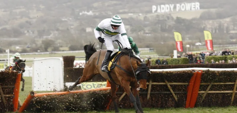 Paddy Power Horse Racing Best Price Guaranteed