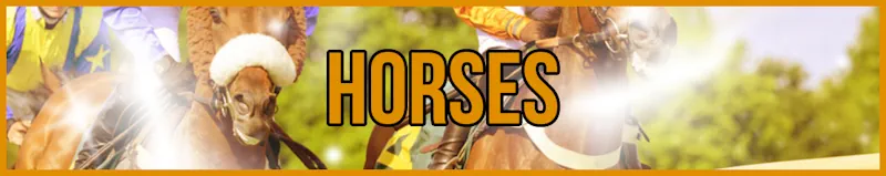Horses banner