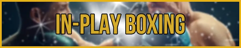 in play boxing banner