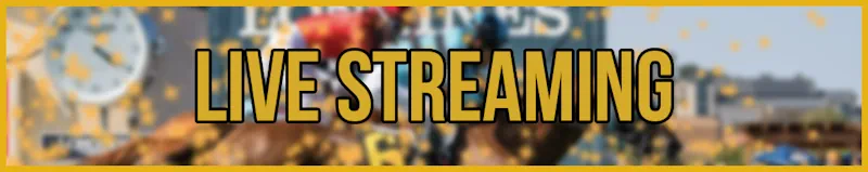 live streaming banner