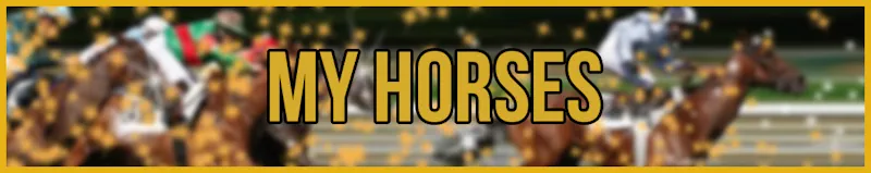 my horses banner