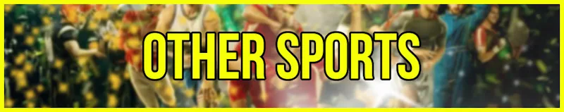 Other Sports banner
