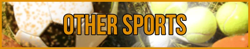 Other Sports banner