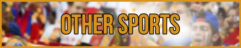 other sports orange banner