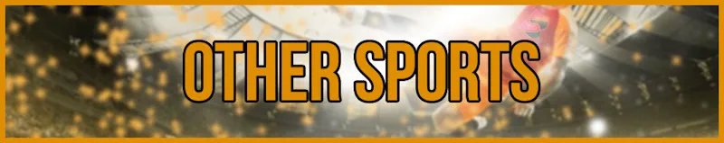 Other Sports banner