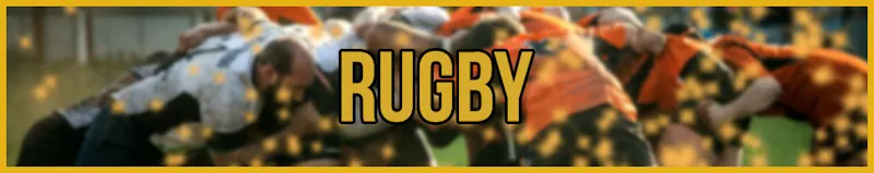  rugby baneer