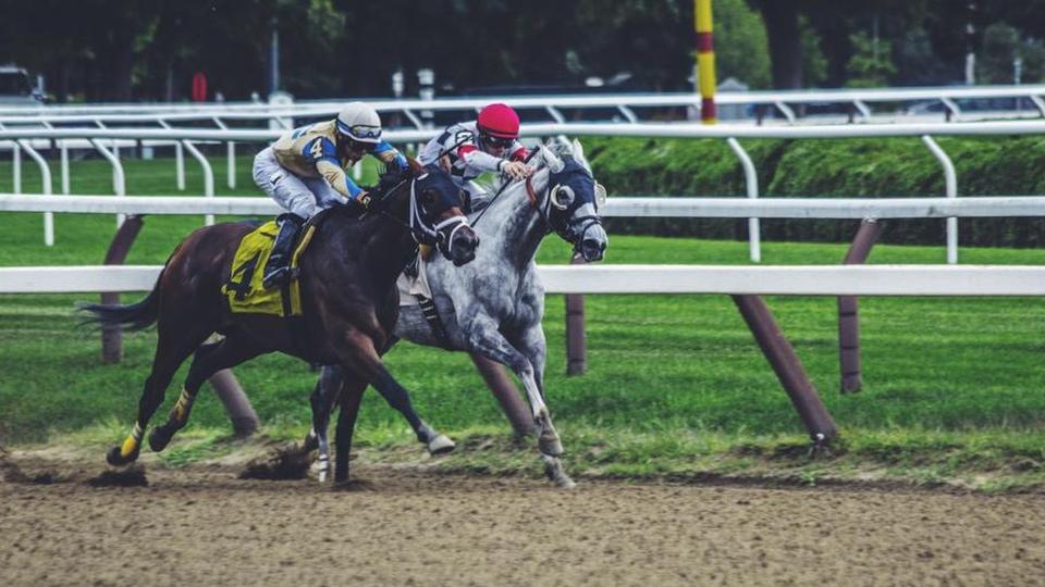 Two racehorses running neck and neck along the rail