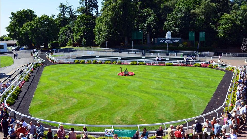How to Read Horse Racing Form Figures on a UK Racecard