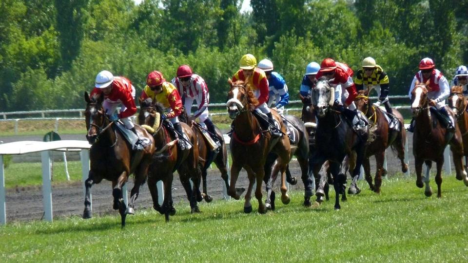 Lucky 15 Bets: How They Are Settled When a Horse Is a Non-Runner