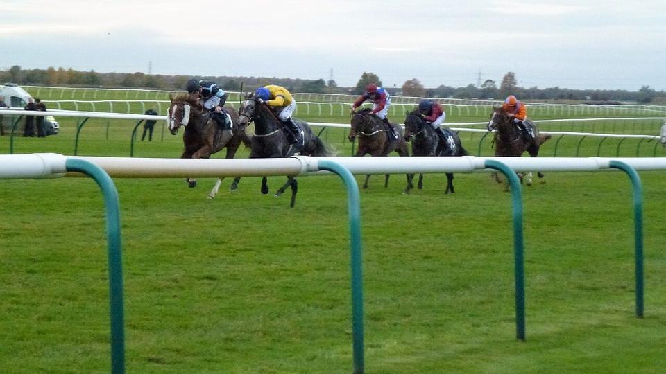 Runners heading towards the finishing post at a British racecourse