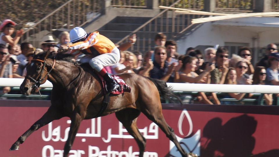 Tote Placepot and Jackpot: How UK Pool Betting Works