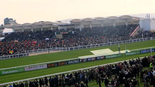 Cheltenham Betting Sites