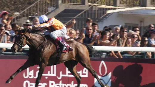 Tote Placepot and Jackpot: How UK Pool Betting Works